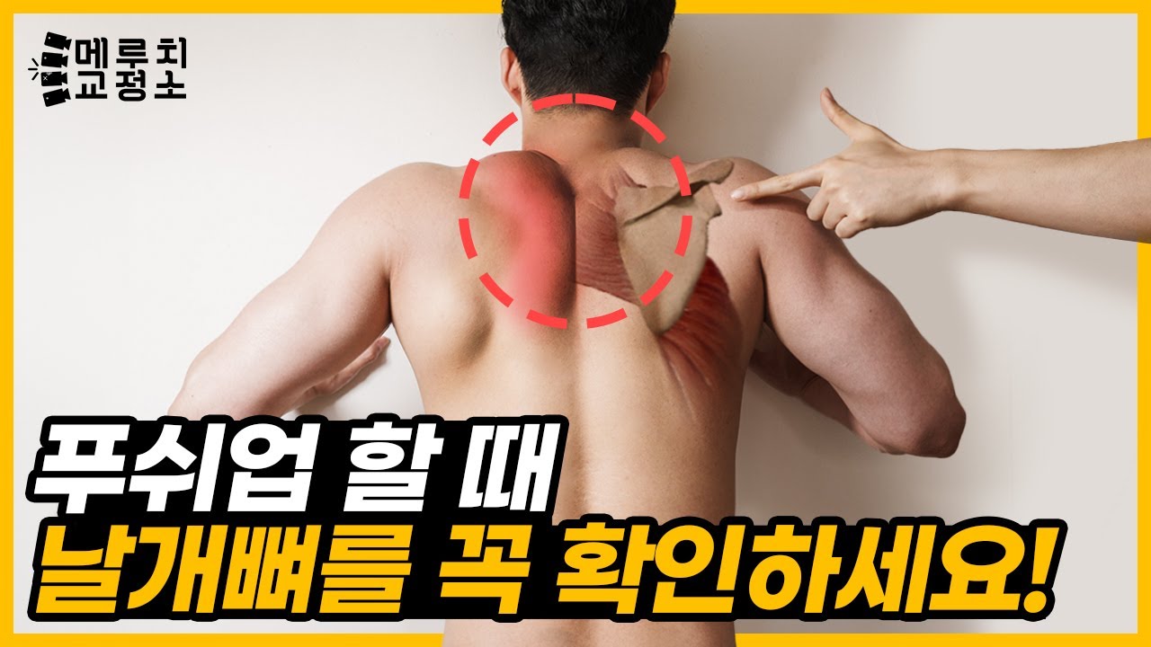 90%가 실수하는 푸쉬업 자세