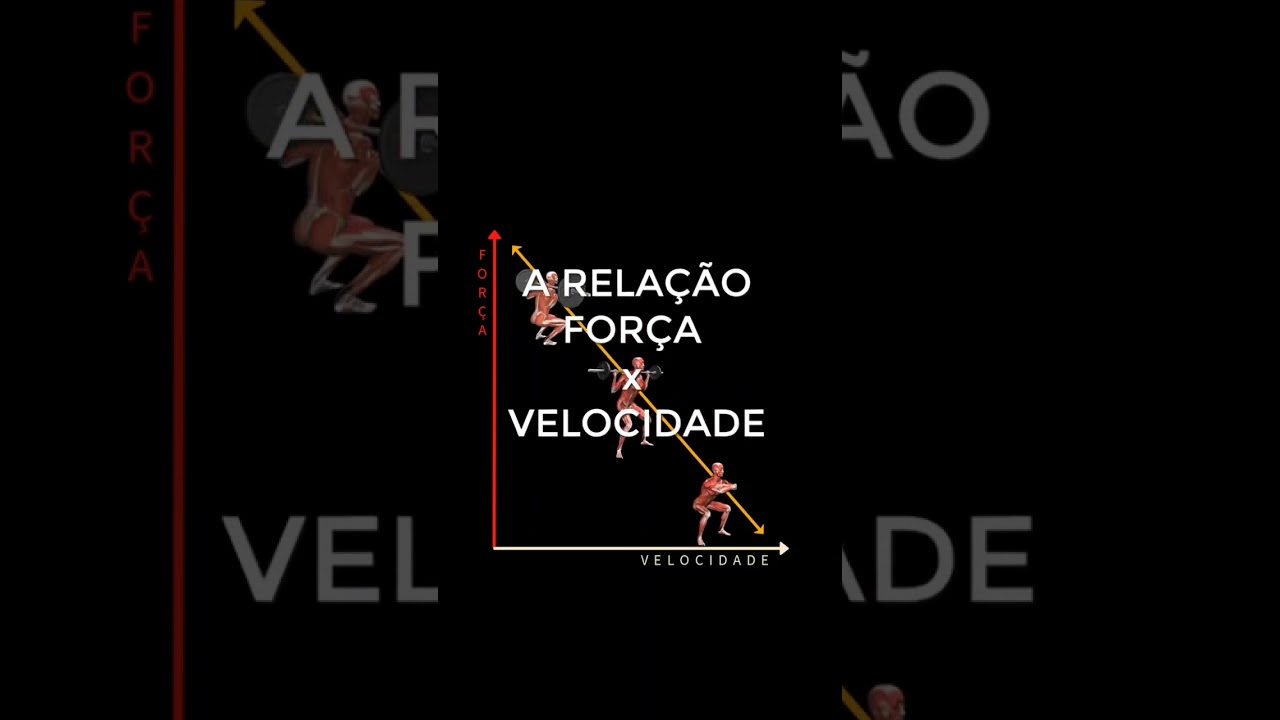 Qual A Relação Entre A Força E A Velocidade?