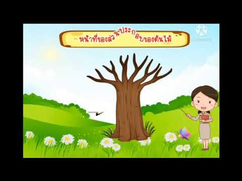 หน่วยต้นไม้ที่รัก  ชั้นอนุบาล1/1