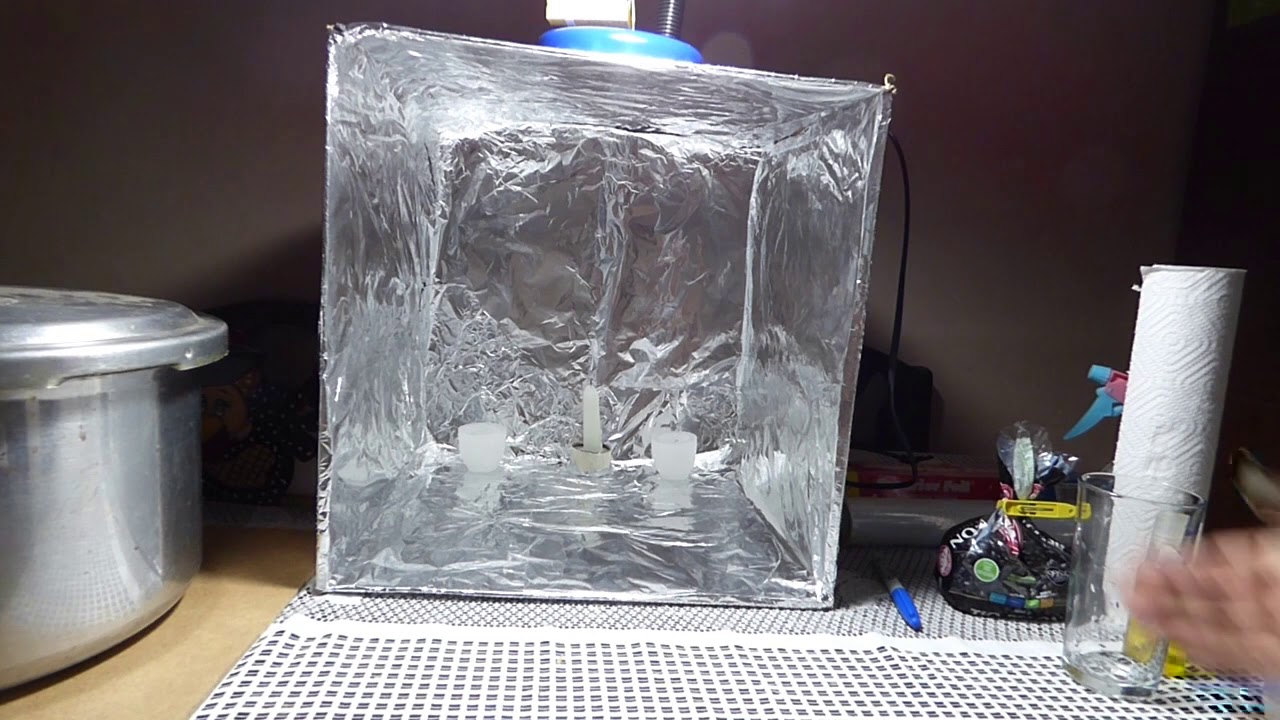 Cultivo casero in vitro de tejidos vegetales: frijol