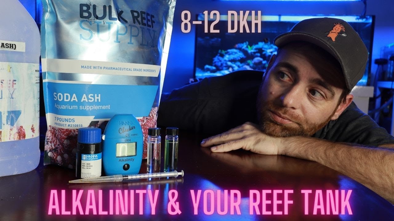 Alkalinity and Your Reef Tank What You Need to Know YouTube