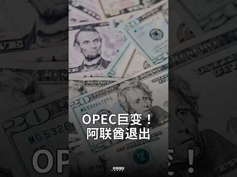 见证历史！阿联酋宣布退出OPEC 59年会员资格说退就退 沙特被孤立 油价或将剧震 #OPEC #阿联酋 #油价 #伊朗战争 #投资