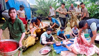 VUI NHƯ LÀ ĂN TẾT! CẢ BẢN CHUẨN BỊ ĐẠI TIỆC CHO CÔ DÂU NGƯỜI THÁI LẤY CHÚ RỂ NGƯỜI KINH HÀ NỘI