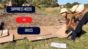 How to kill grass and weeds with cardboard for garden