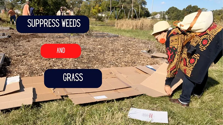 How to kill grass and weeds with cardboard for garden