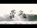 Dane reynolds  loaded