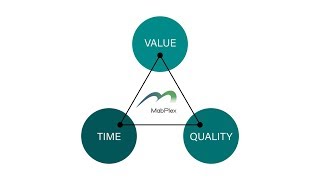 MabPlex Value Triangle