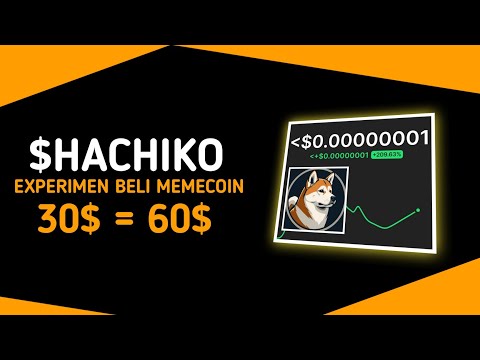 Experimen Beli Meme Coin HACHIKO di Phantom modal 30$ !!! Hold 100% Apakah untung atau Rugi?