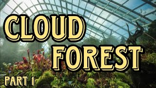 Exploring the Cloud Forest []  PART 1