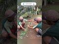 Making Jungle Hunting & Fishing Tools for Survival | Village Life Adventure #survivalskills #jungle