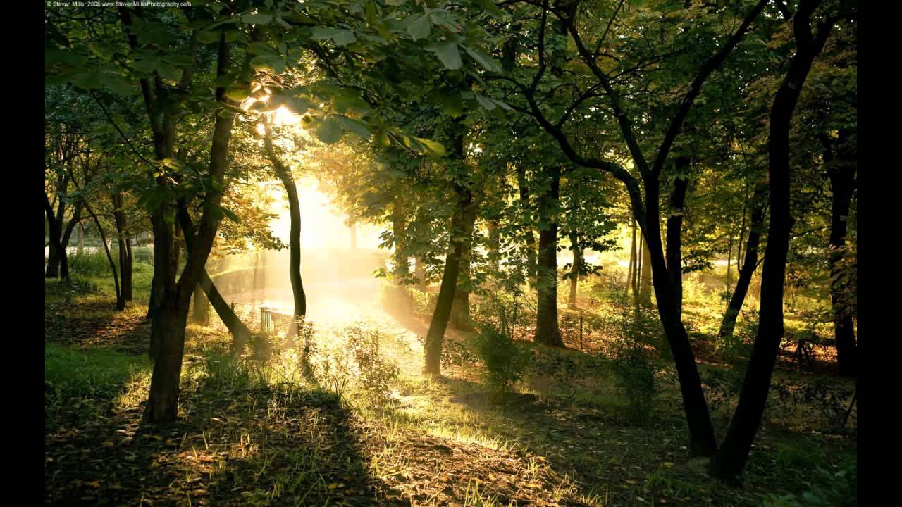 Philip Bader, Nicone & Sascha Braemer - Dantze, Girl