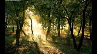 Philip Bader, Nicone & Sascha Braemer - Dantze, Girl