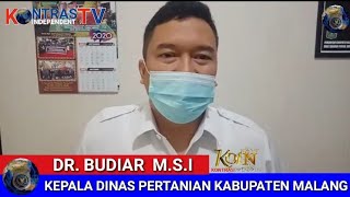 Live News .. Kepala Dinas Dtphp Kab.malang Dr.budiar Anwar, M.s.i Penjelasan Pupuk Subsidi.