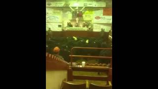 Buying cattle 1/9/2016