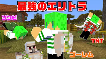 تحميل マインクラフト エリトラ