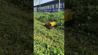 Robot Lawn Mower Smart Grassland Automatic Remote Controlled Grass Cutting Machine