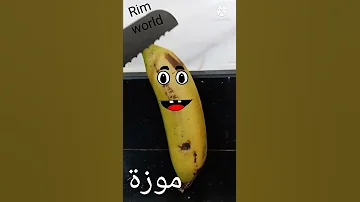 هل الصيصان شو حلوين بابا سناني واوا عندو سرير وصار كبير طيور الجنة بيبي اغاني اطفال كراميش وناسة 3 