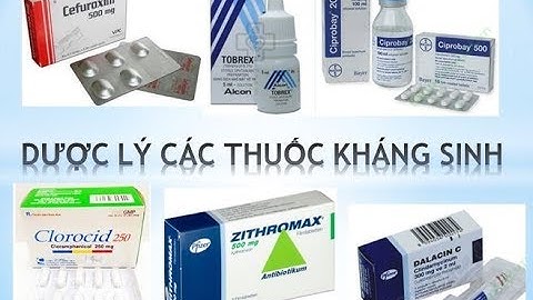 [Pharmog SS1 - Tập 08] - Dược lý các thuốc kháng sinh