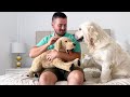 Hugging Another &quot;Puppy&quot; | Jealous Dog Reaction