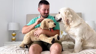 Hugging Another &quot;Puppy&quot; | Jealous Dog Reaction