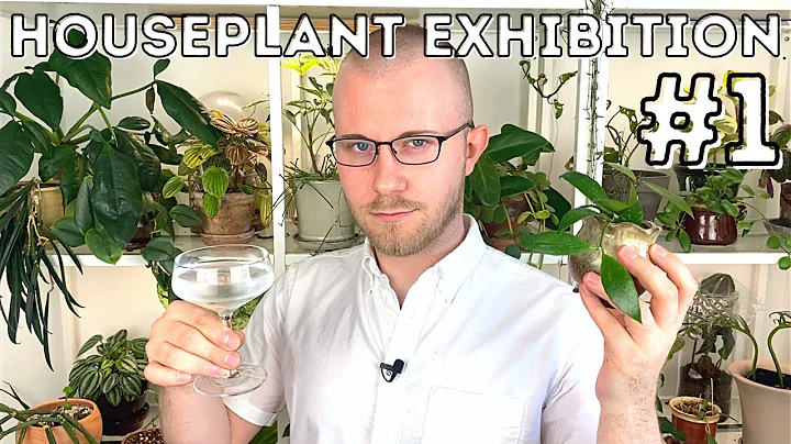 Houseplant Exhibition No. 1