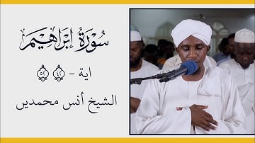 سورة إبراهيم اية 42-52 الشيخ أنس محمدين Surah Ibrahim, verse 42-52, Sheikh Anas Muhammadin