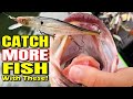 Want to CATCH MORE FISH? Watch This Now!