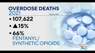 Opioid Deaths On The Rise, Despite Nationwide Efforts