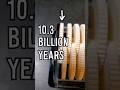The 10.3 Billion Year Gear