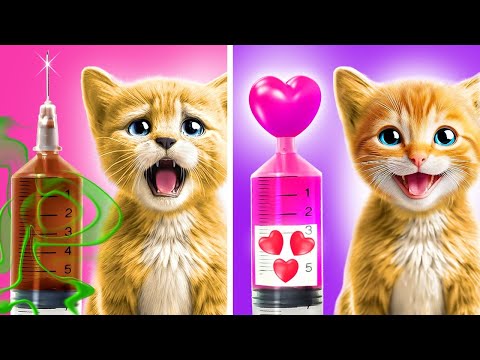 Secret HACKS to Make Your Cat Happy! 5 MINUTE Cat HACKS For BUSY Owners Secret HACKS to Make Your Cat Happy! 5 MINUTE Cat HACKS For BUSY Owners