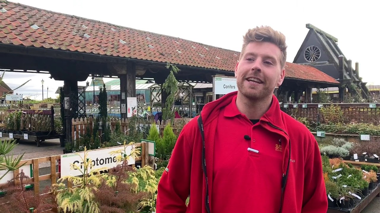 Christmas At Baytree Garden Centre Youtube