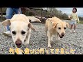 【前編】ワンちゃんOK!の牧場へ行ってきました。那須高原南ヶ丘牧場