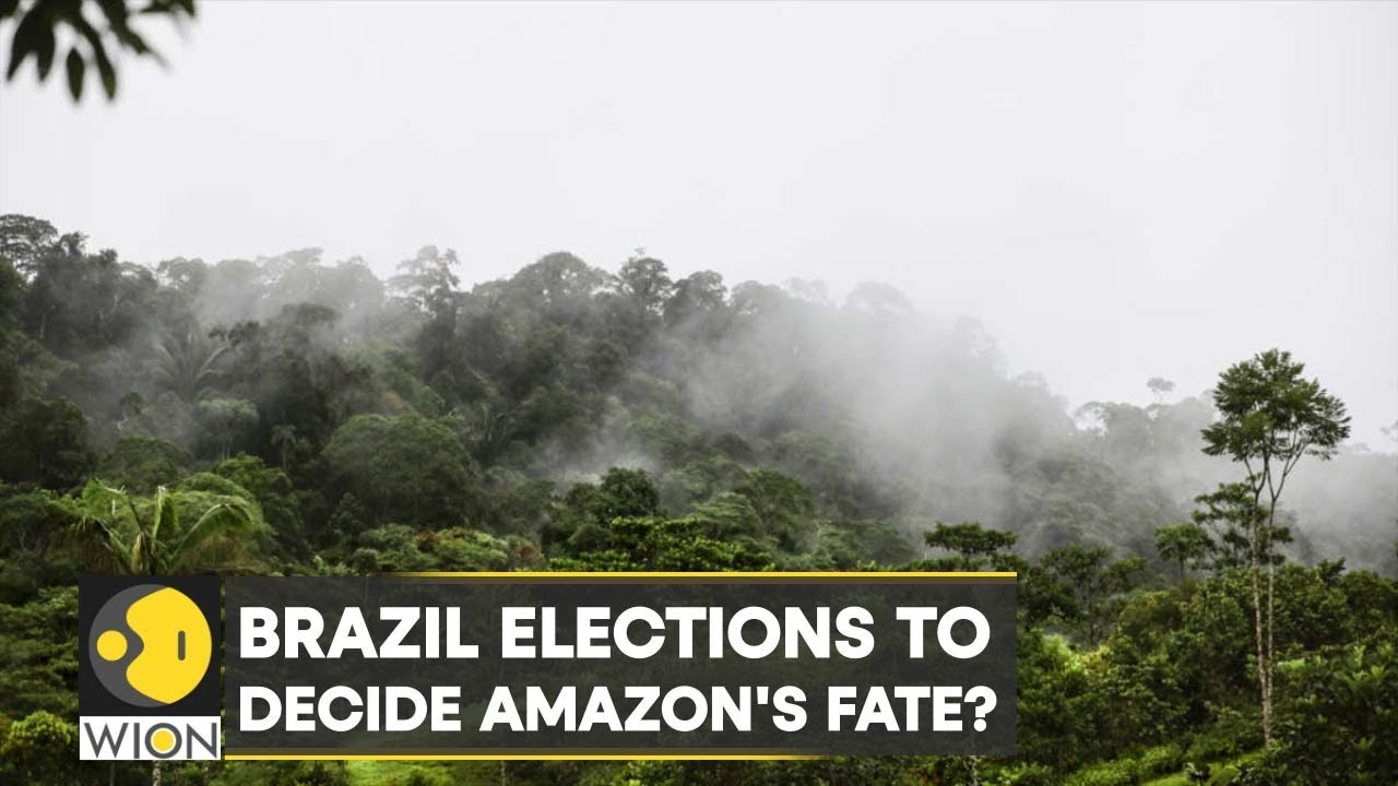 WION Climate Tracker: Brazil elections to decide Amazon’s fate? Lula promises to conserve the Amazon