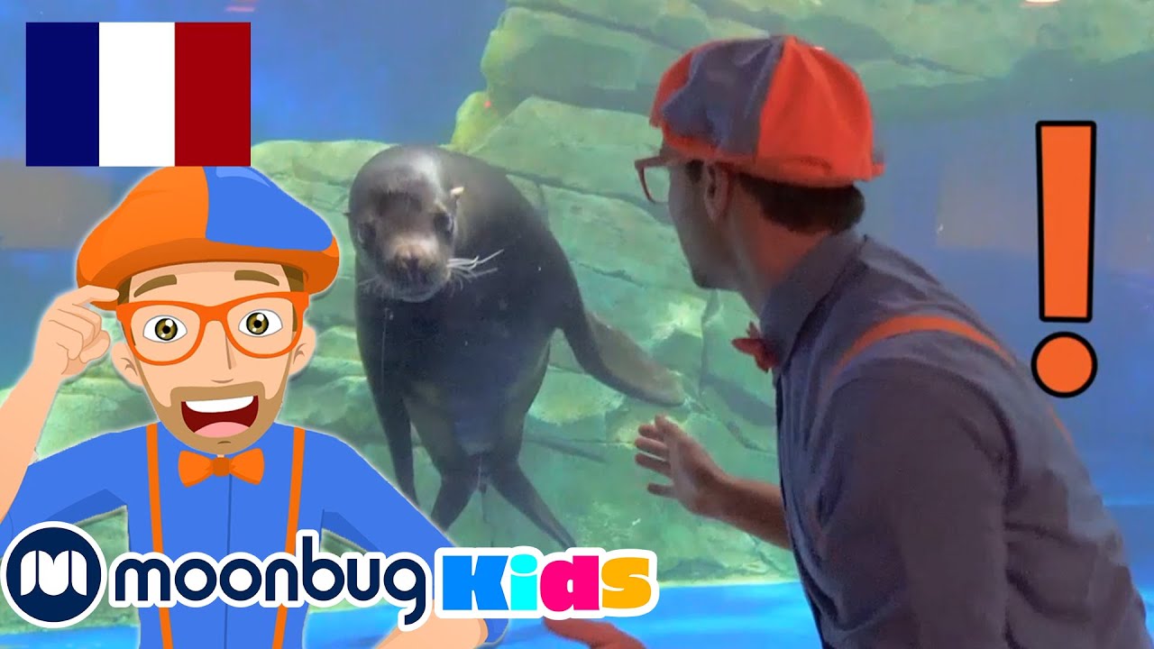 ⁣Blippi visite un aquarium! | BLIPPI en Français | Vidéos Pour Enfants | Moonbug en Français