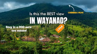 Where To Stay In Wayanad Zostel Plus Wayanad Wayanad Tourist Places Resort Chembra Peak Hotel