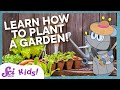 Lets plant a garden  squeaks grows a garden  scishow kids