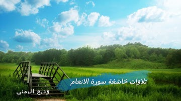 تلاوات خاشعة سورة الانعام وديع اليمني