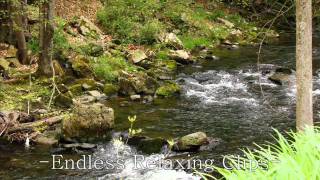 This video is an audio loop of a babbling brook during springtime with
nice assortment birds singing. i'll take suggestions from subscribers
and make an...