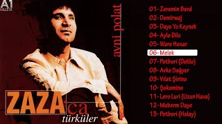 Avni Polat - Melek