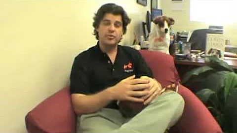 Ask our Experts -- Can dogs read people's emotions?