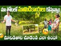 మా తోటలో మామిడికాయలు కోస్తున్నాం | Telugu Latest Vlog | @gkbteluguvlogs