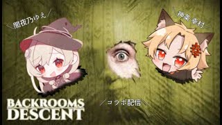 【コラボ】～Backrooms Descent Horror Game～ part1