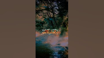 القارئ _ طارق محمد #قرآن #إستمع #اكسبلور #المصحف