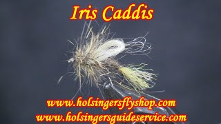 Iris Caddis, Holsinger's Fly Shop