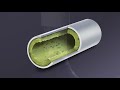 Viper Pan & Drain Treatment