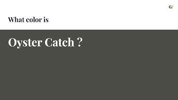 Oyster Catch color #4a4c45 hex color - Grey color - Cool color 4a4c45