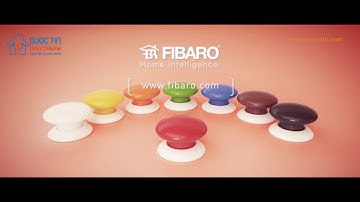 The Button (Nút nhấn thần thánh)