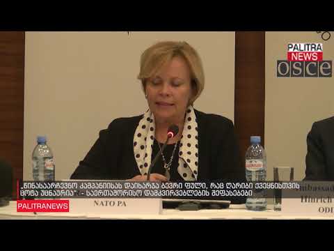 საერთაშორისო დამკვირვებლების შეფასებები