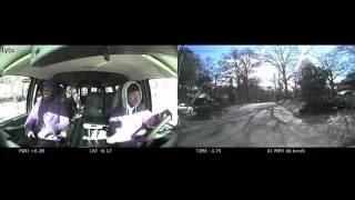Auto Theft Suspects