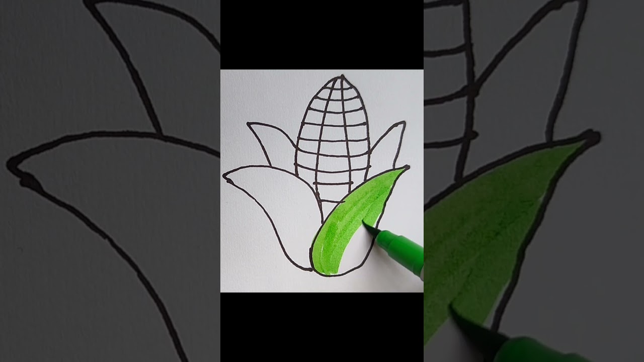 Let's draw corn drawing and colouring 💫🤩